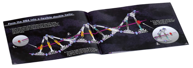 K'NEX ADN, set de construction Réplication et Transcription
