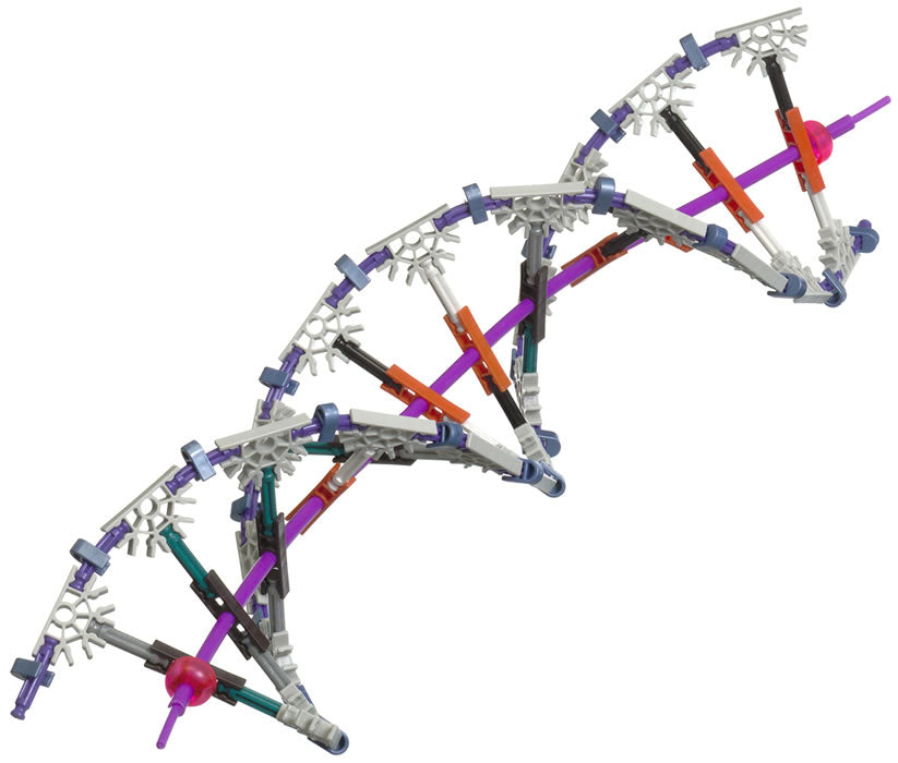 K'NEX DNA, Replication and Transcription set