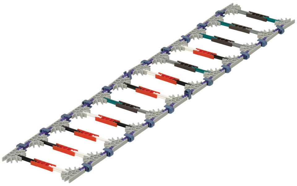 K'NEX DNA, Replication and Transcription set